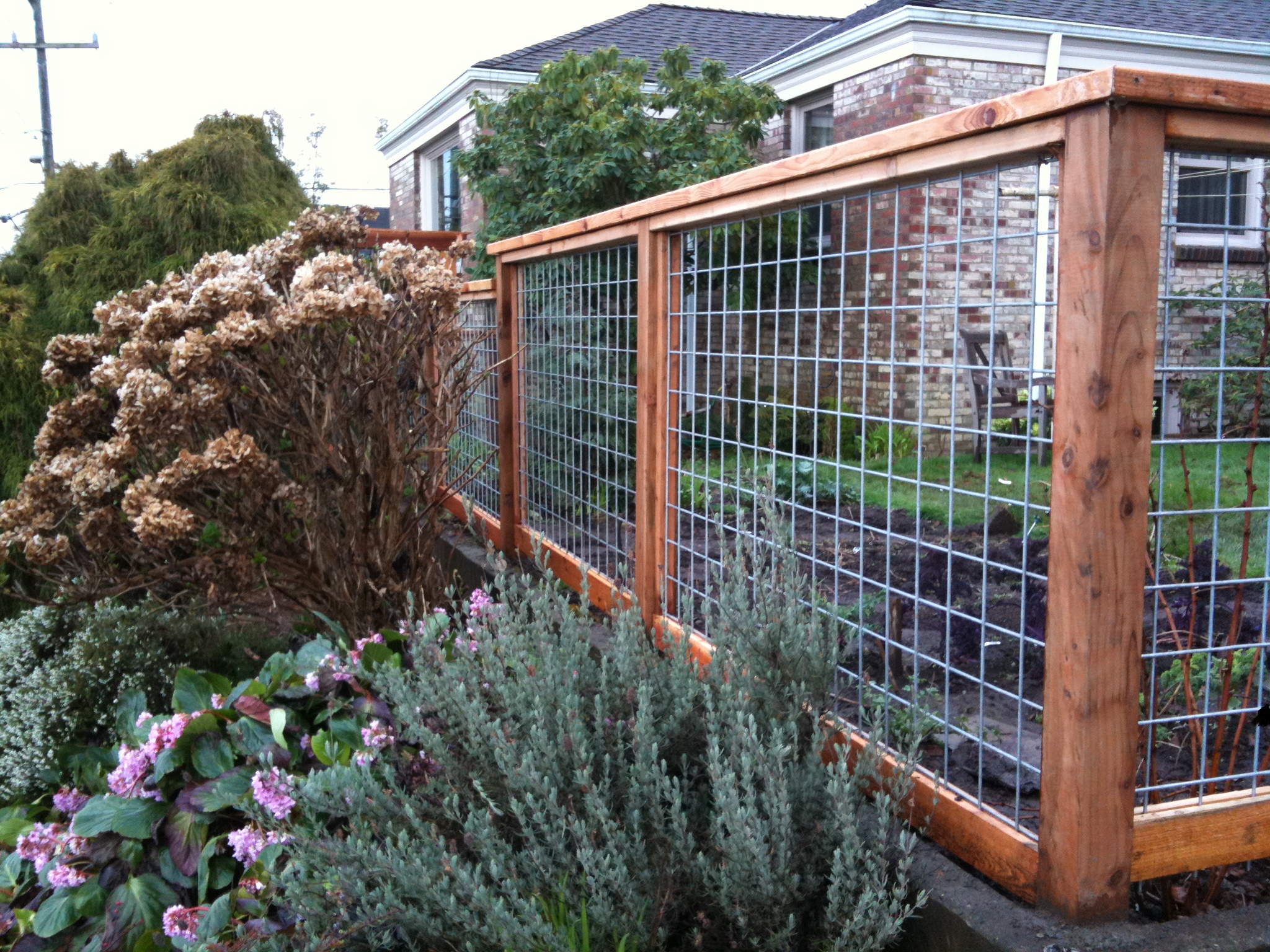 Diy garden fence clearance to keep dogs out